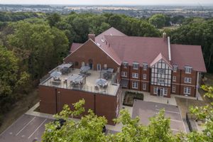 The Canopy- click for photo gallery